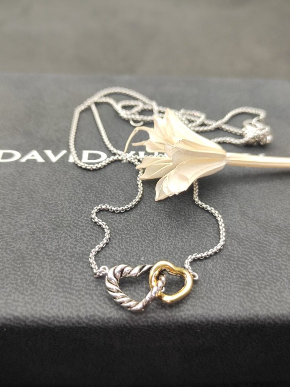 David Yurman Double Heart Button Colored Necklace